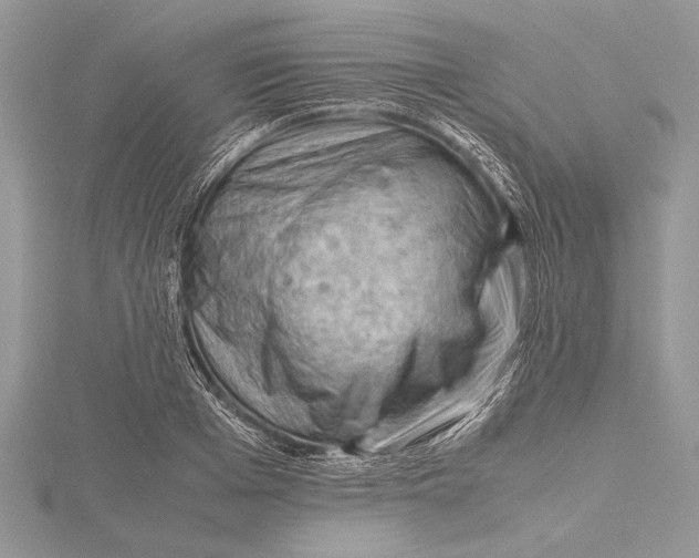 X0000115760985200912041407