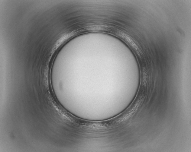 X0000115760986200912041407