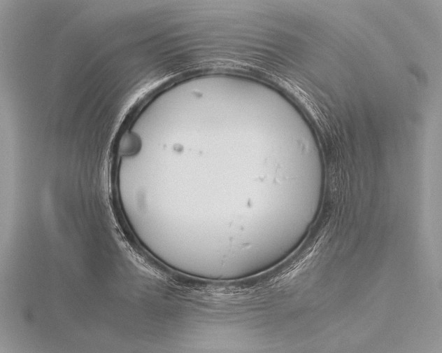 X0000115760987200912041407