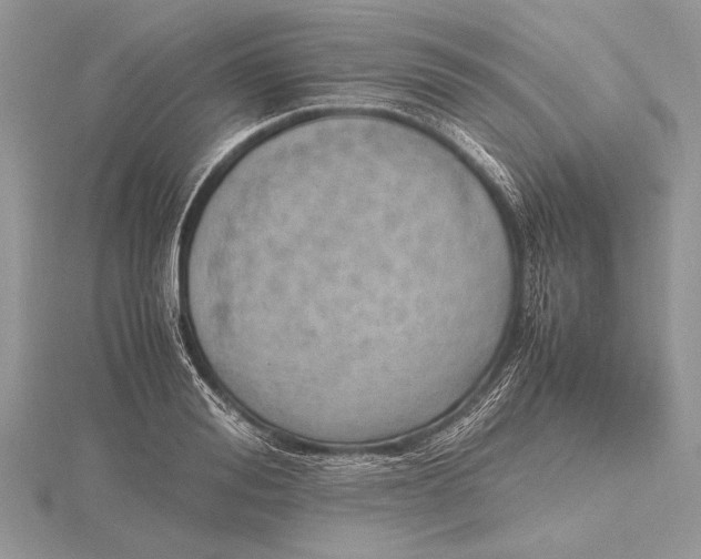 X0000115760988200912041407