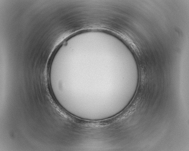 X0000115760990200912041407