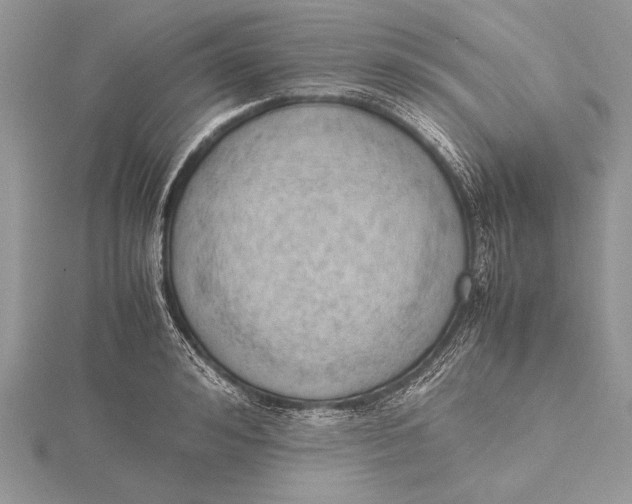 X0000115760992200912041407