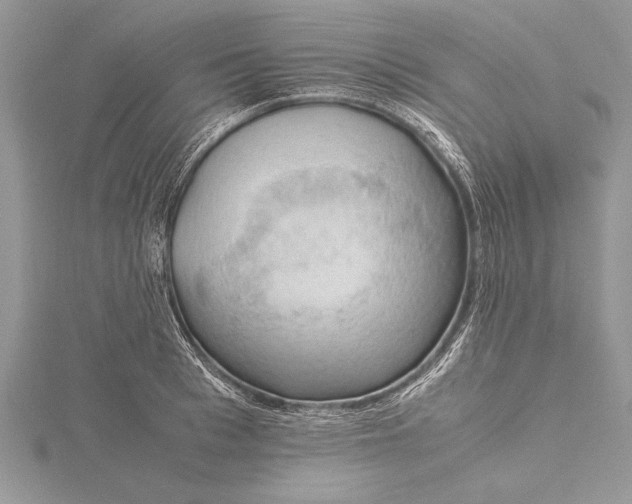 X0000115760993200912041407