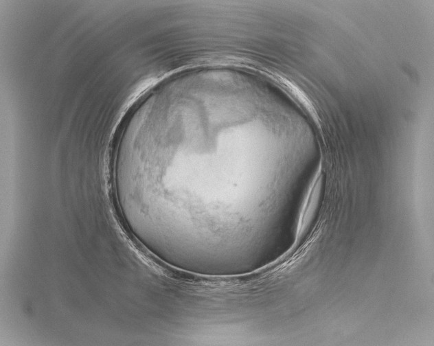 X0000115760997200912041407