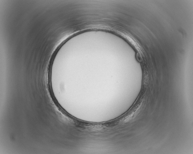 X0000115760999200912041407