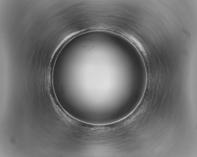 X0000115761000200912041407