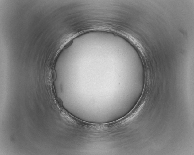 X0000115761001200912041407