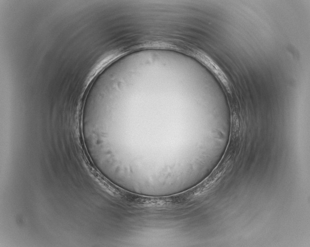 X0000115761002200912041407