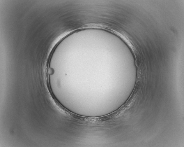 X0000115761003200912041407