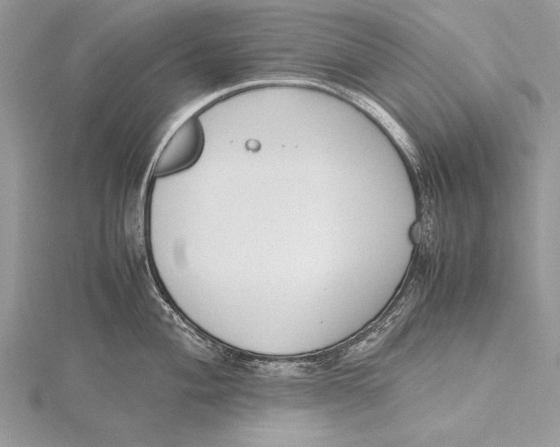 X0000115761004200912041407