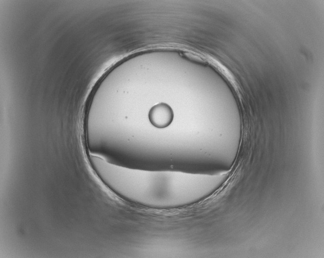 X0000115761005200912041407