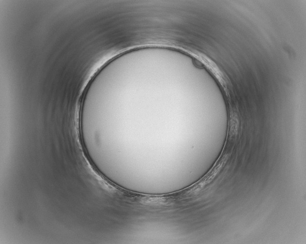 X0000115761006200912041407