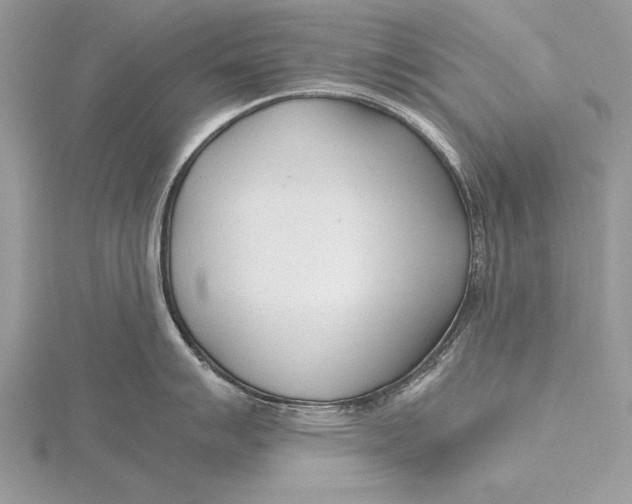 X0000115761007200912041407