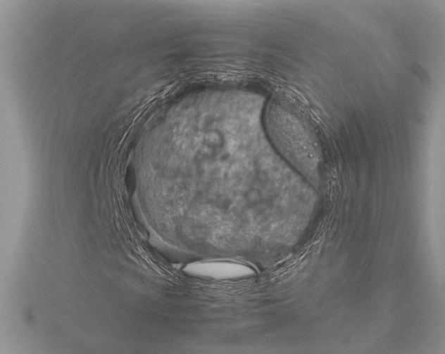 X0000115761009200912041406