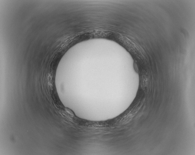 X0000115761010200912041406