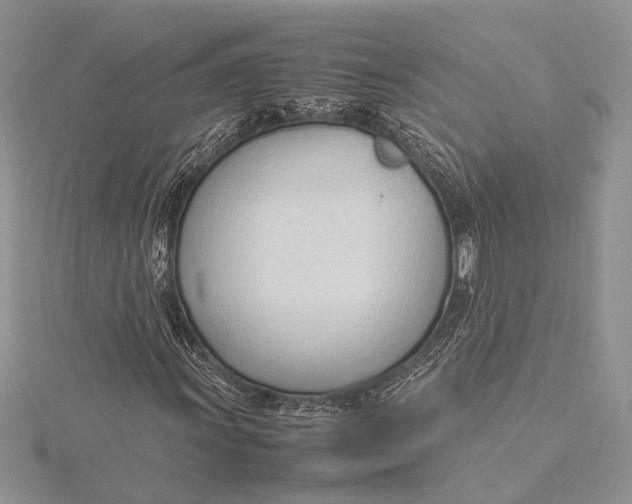 X0000115761011200912041406