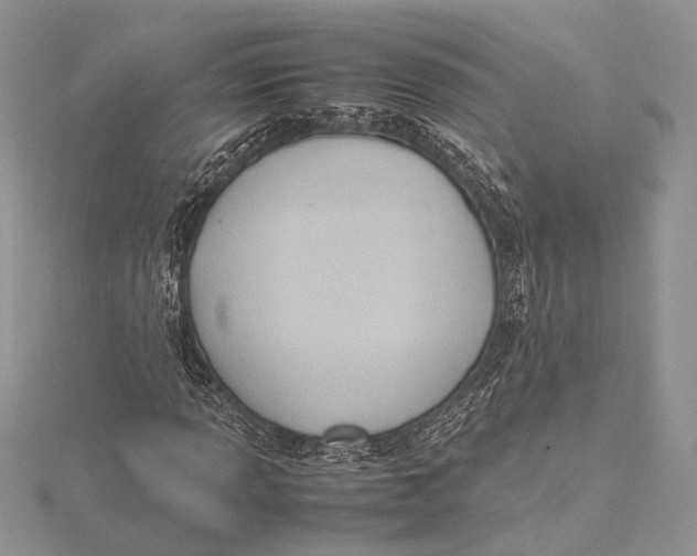 X0000115761013200912041406