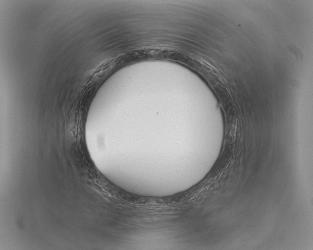 X0000115761014200912041406