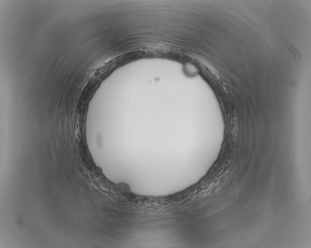 X0000115761016200912041406