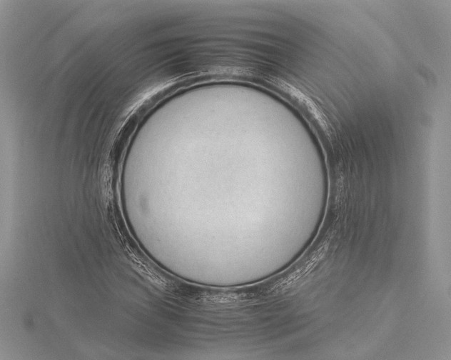 X0000115761019200912041406