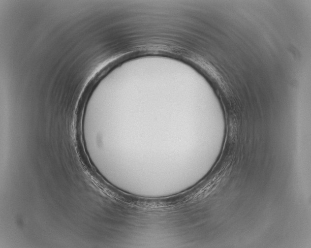 X0000115761020200912041406