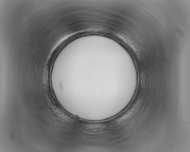 X0000115761021200912041406