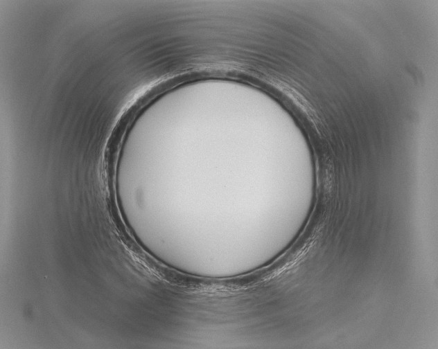 X0000115761022200912041406