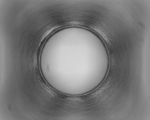 X0000115761023200912041406