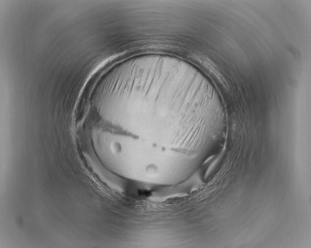 X0000115761024200912041406