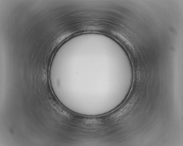 X0000115761025200912041406