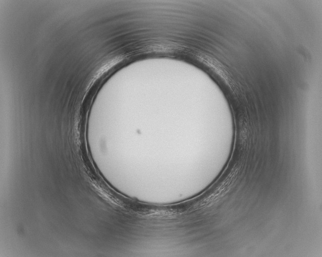 X0000115761026200912041406