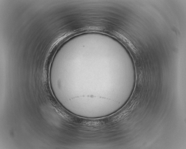 X0000115761027200912041406