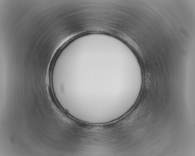 X0000115761028200912041406