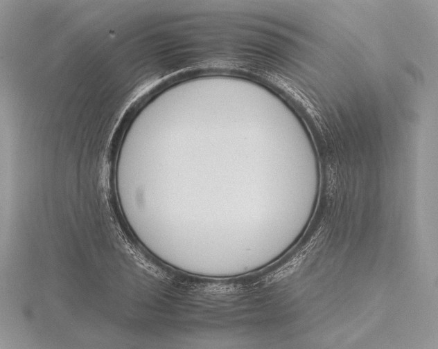 X0000115761029200912041406