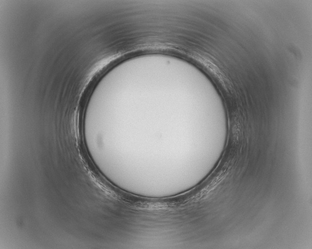 X0000115761030200912041406