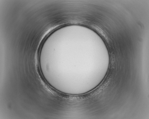 X0000115761032200912041406