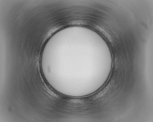 X0000115761033200912041406