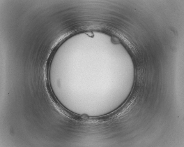 X0000115761034200912041406