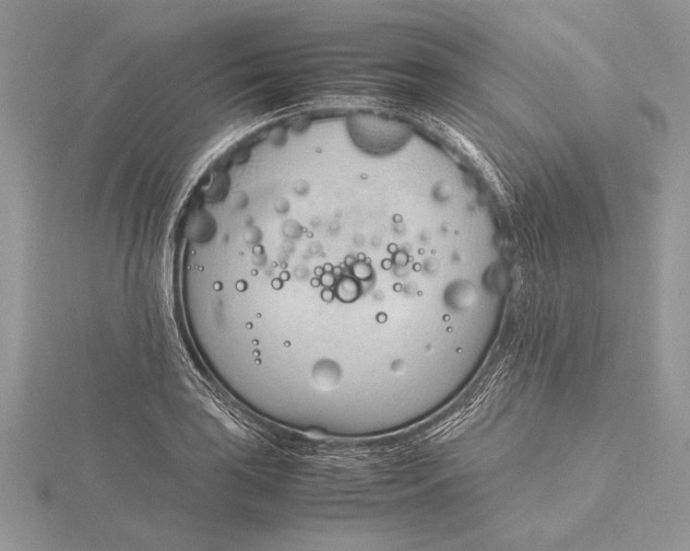 X0000115761035200912041406