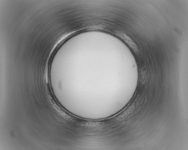 X0000115761036200912041406