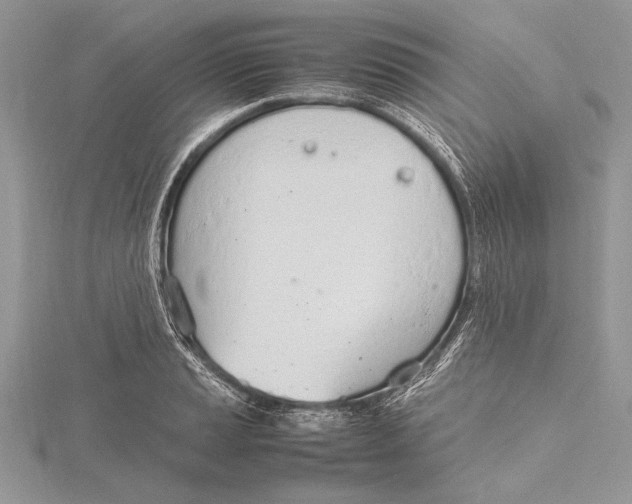 X0000115761037200912041406