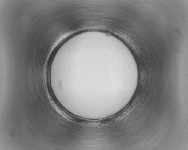 X0000115761038200912041406