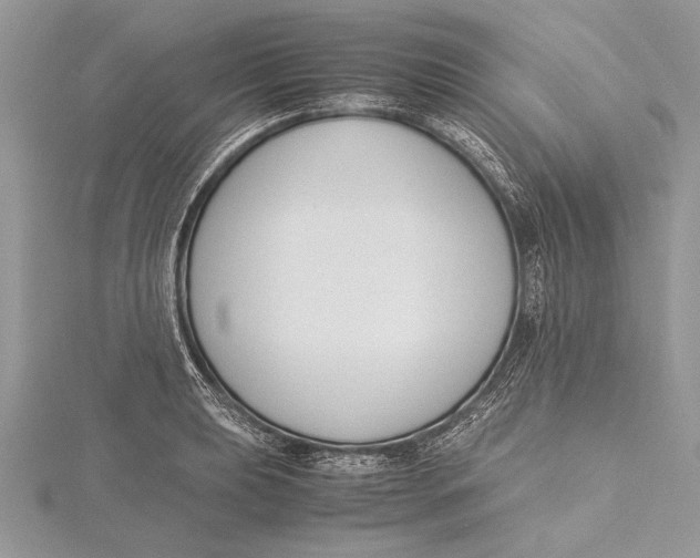 X0000115761039200912041406