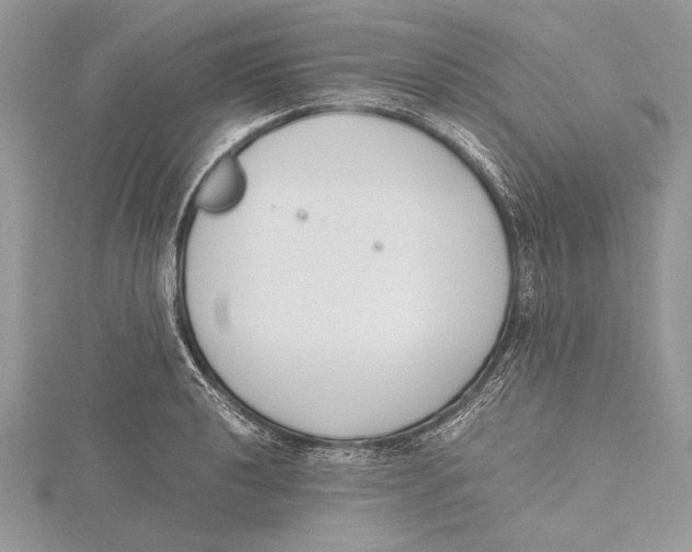 X0000115761040200912041406