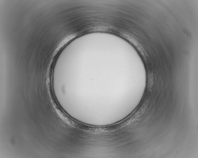 X0000115761042200912041406