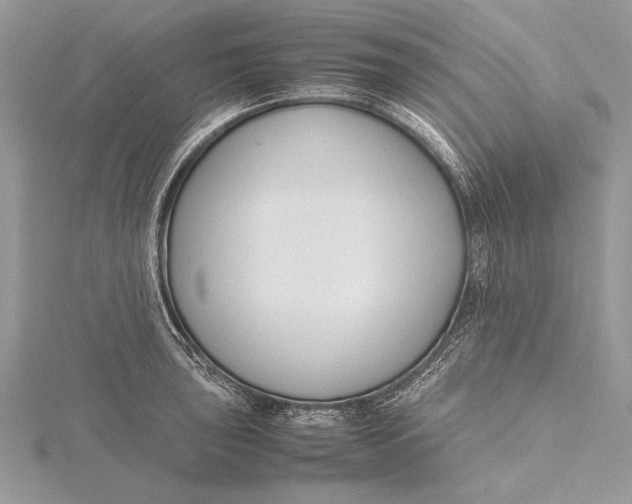 X0000115761043200912041406