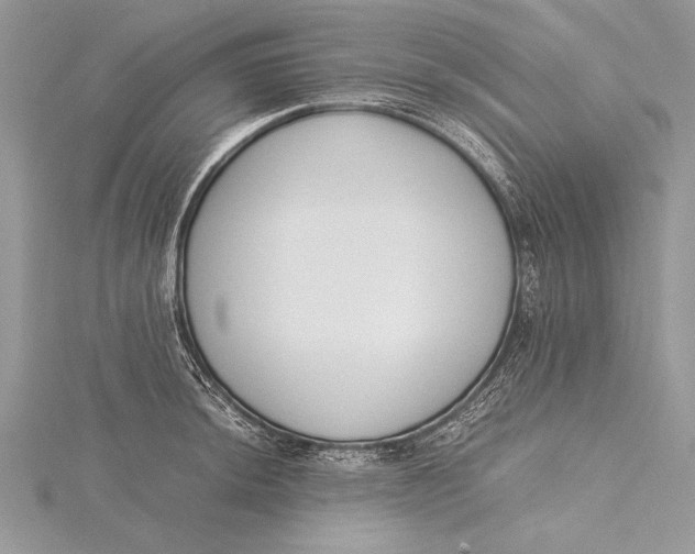 X0000115761044200912041406