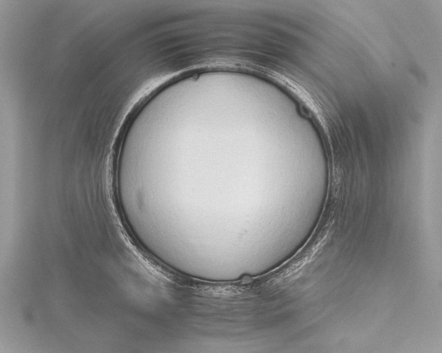 X0000115761045200912041406