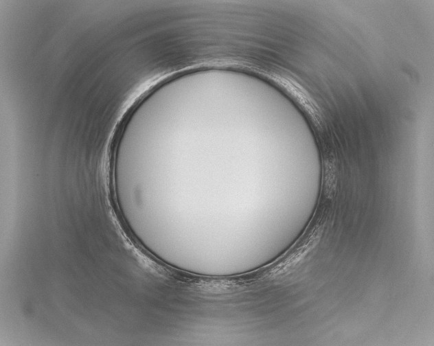 X0000115761046200912041406