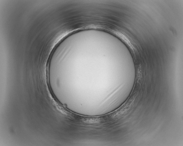 X0000115761047200912041406